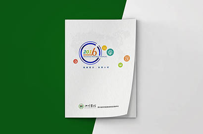 盐边县画册设计：以场景为媒，打造城市体验的全新入口